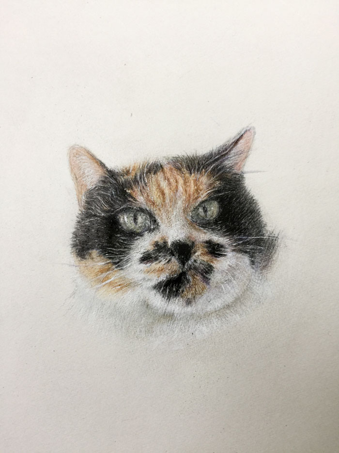 ǭ������ɮ�ǥå���